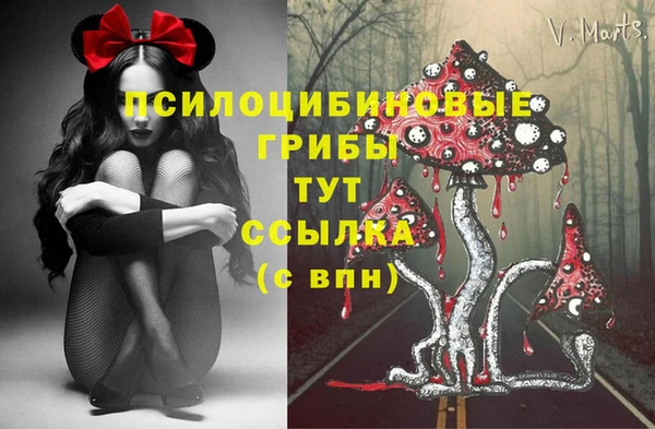 ECSTASY Алзамай