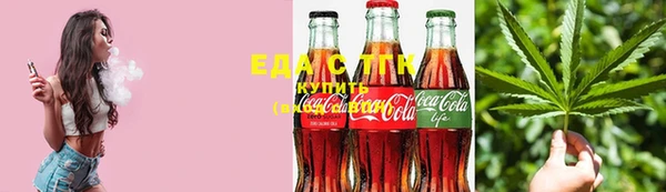 ECSTASY Алзамай