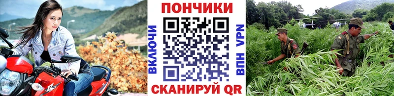 Бошки марихуана планчик  Купить закладки  Уфа 